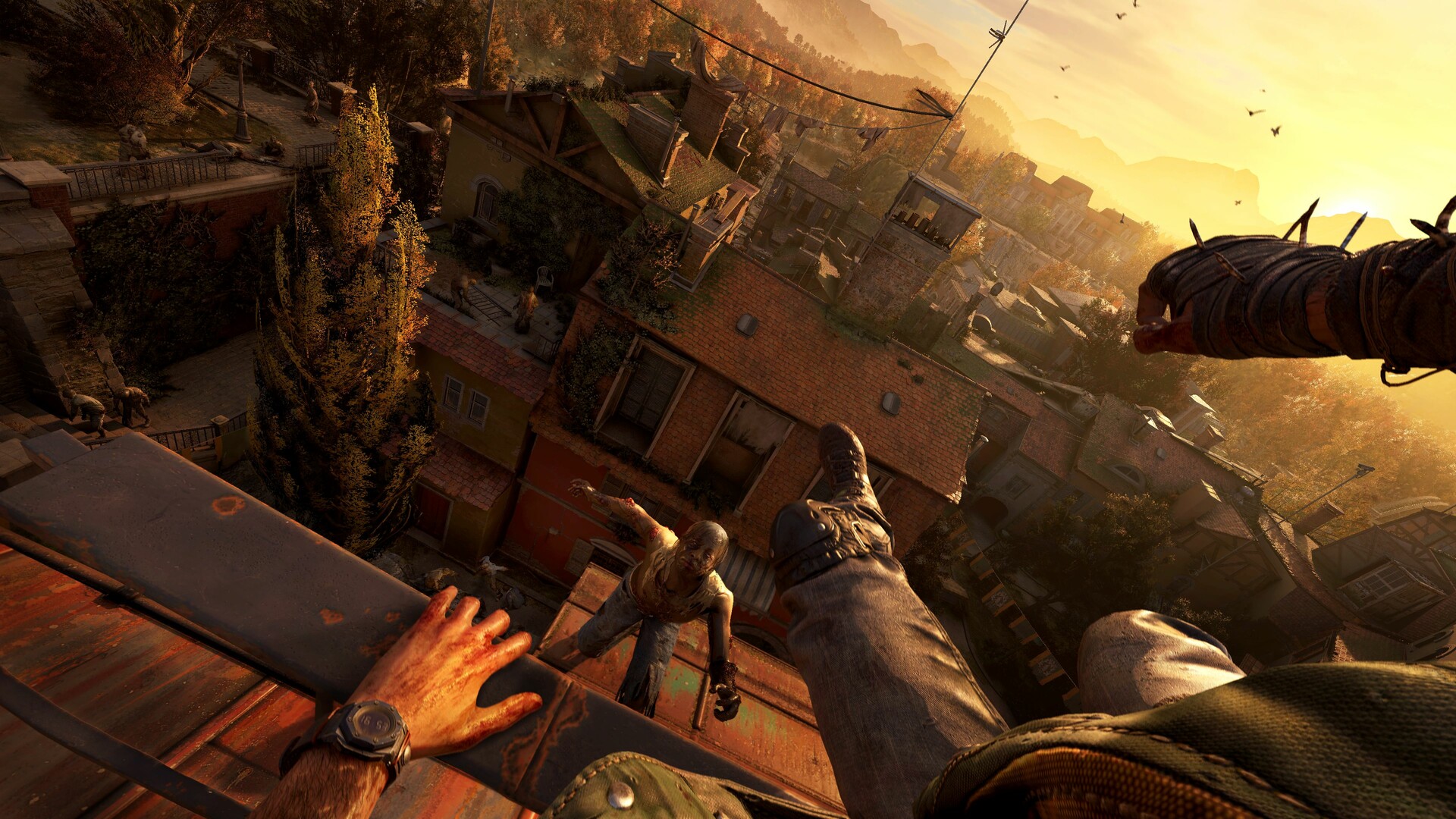 消逝的光芒：困兽/Dying Light: The Beast
