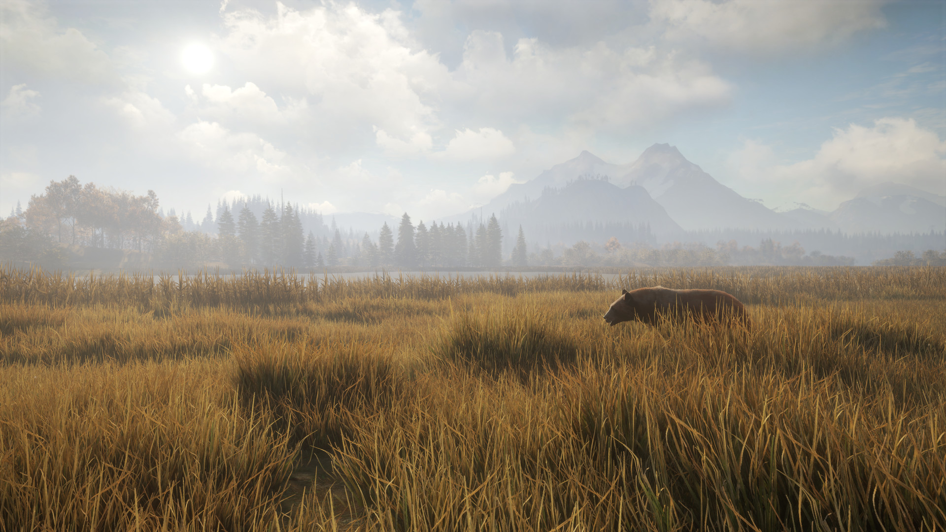 猎人:荒野的召唤/theHunter: Call of the Wild 版本更新 猎人:荒野的召唤/theHunter: Call of the Wild 版本更新