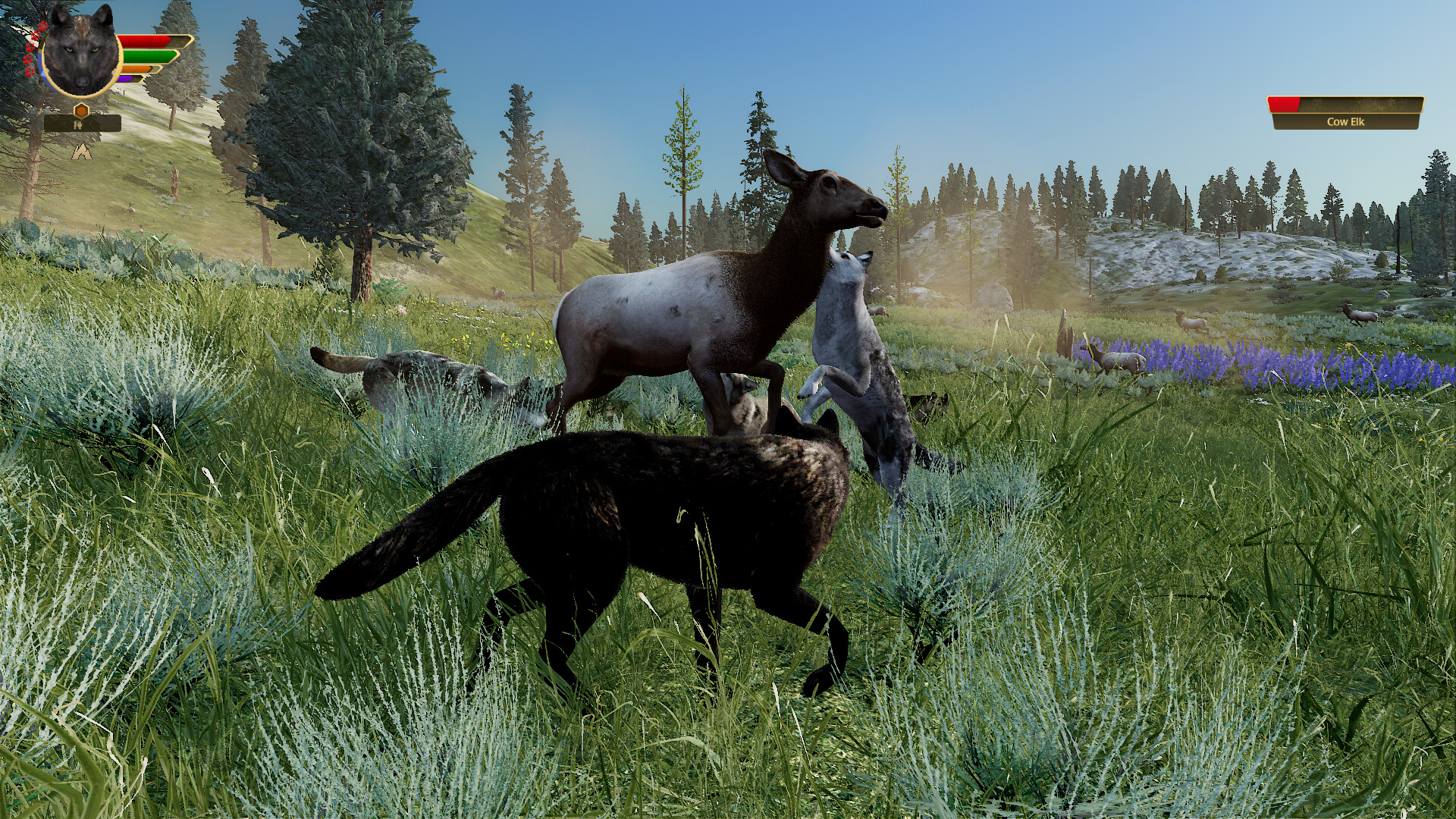 野狼谜踪:周年纪念版/WolfQuest: Anniversary Edition 版本更新 野狼谜踪:周年纪念版/WolfQuest: Anniversary Edition 版本更新