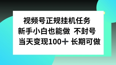 视频号正规挂播任务，有手就行不违规，轻松日入1张