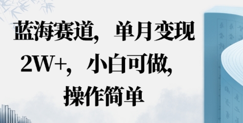 蓝海赛道，小红书私域项目，单月变现2W+，小白可做，操作简单