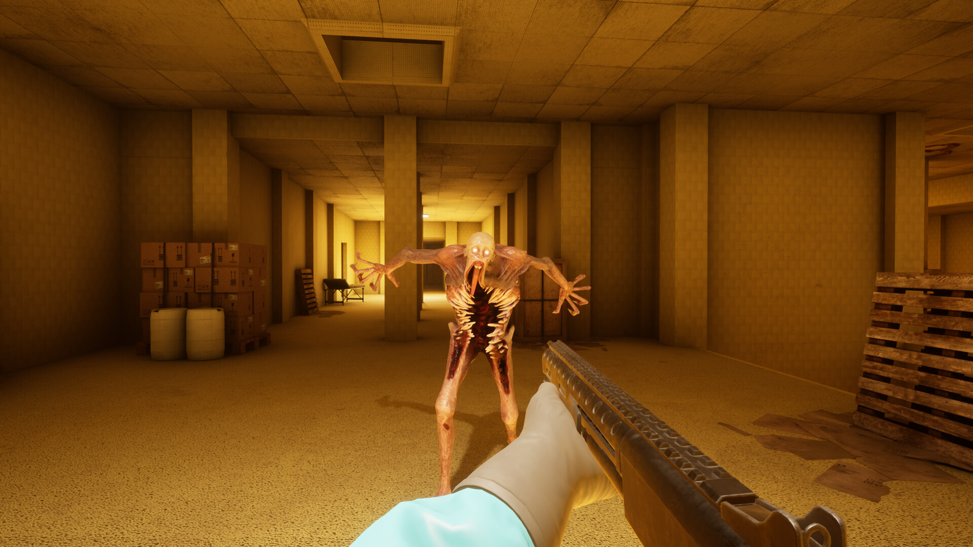 BACKROOMS: 恐惧/BACKROOMS: APPREHENSION