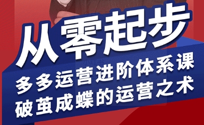 拼多多运营进阶系统课，从零起步，多多运营进阶体系课，破茧成蝶的运营之术