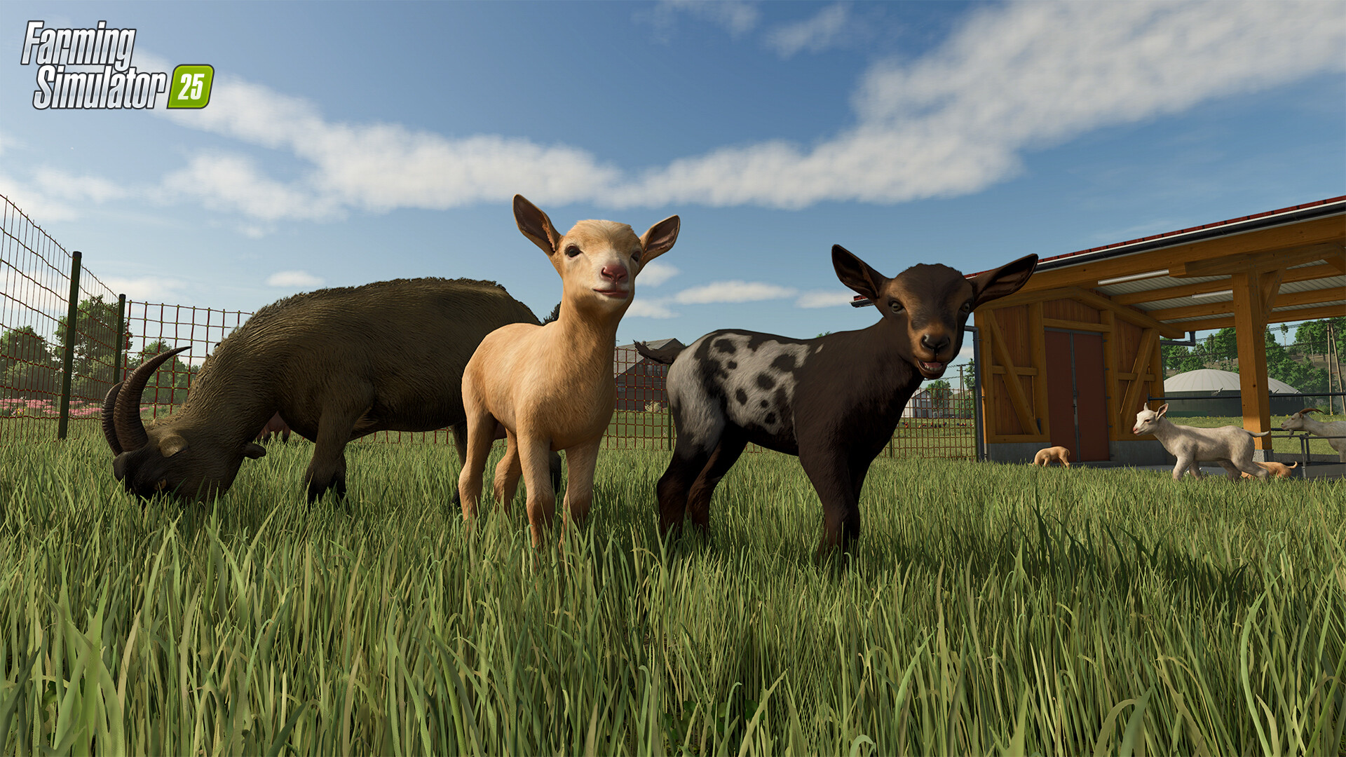 模拟农场25/Farming Simulator 25 版本更新 模拟农场25/Farming Simulator 25 版本更新